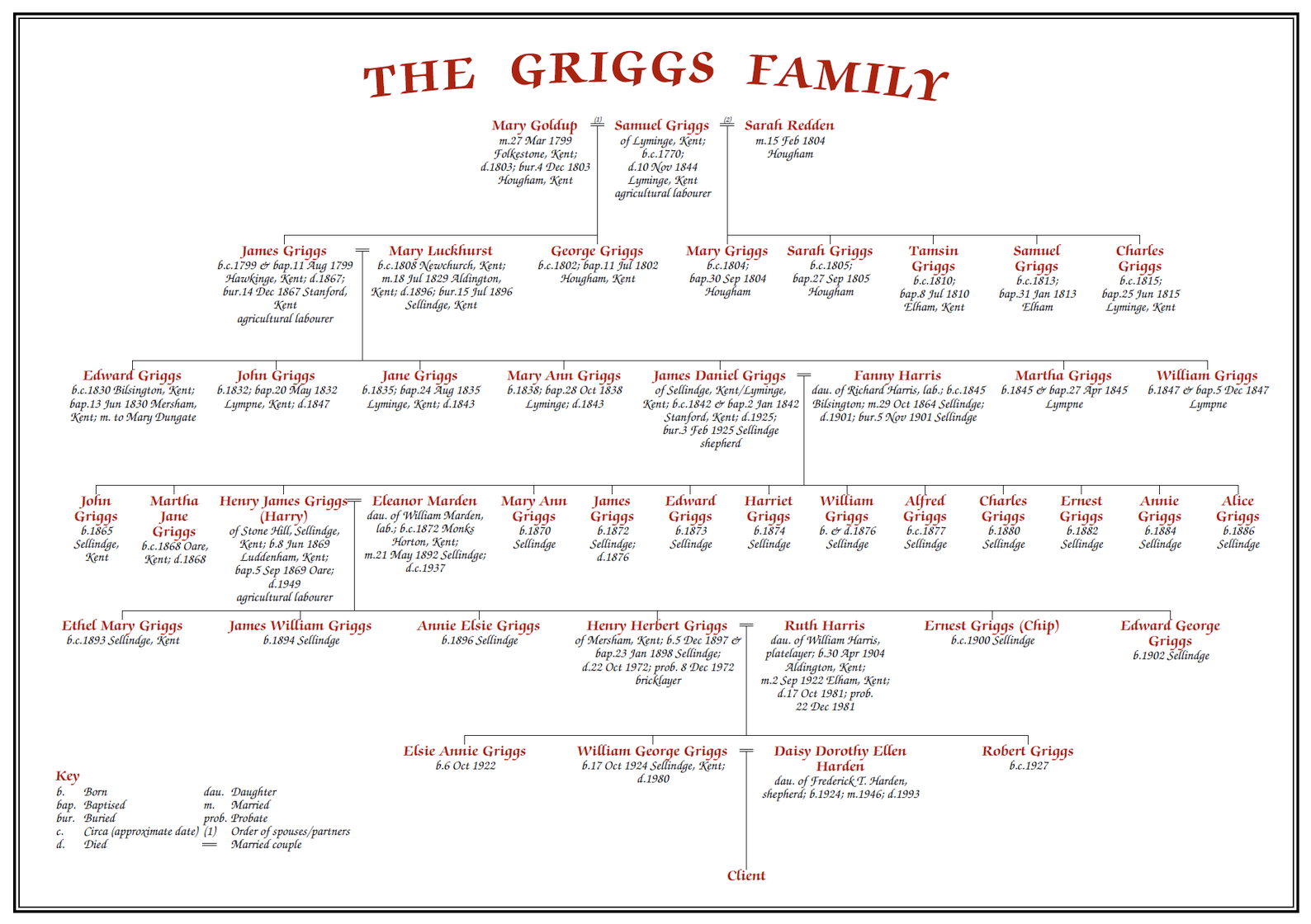 Professional Family Tree Chart