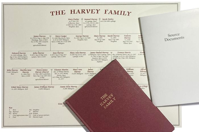 Top view of family tree package, showing custom book, source documents booklet, and family tree chart.