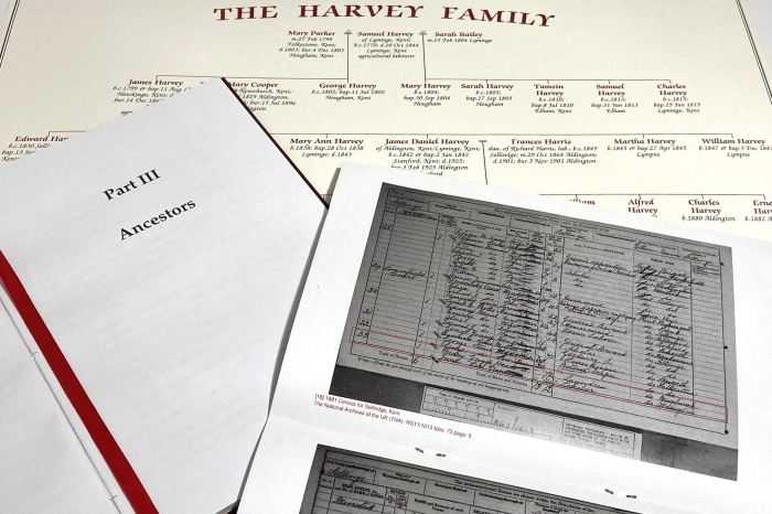 Family tree package, showing open personalised family history book on the Ancestors chapter, and open source documents booklet showing UK censuses pages.